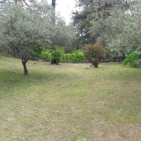 Villa Leo Glykadi Εξωτερικό φωτογραφία