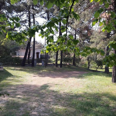 Villa Leo Glykadi Εξωτερικό φωτογραφία