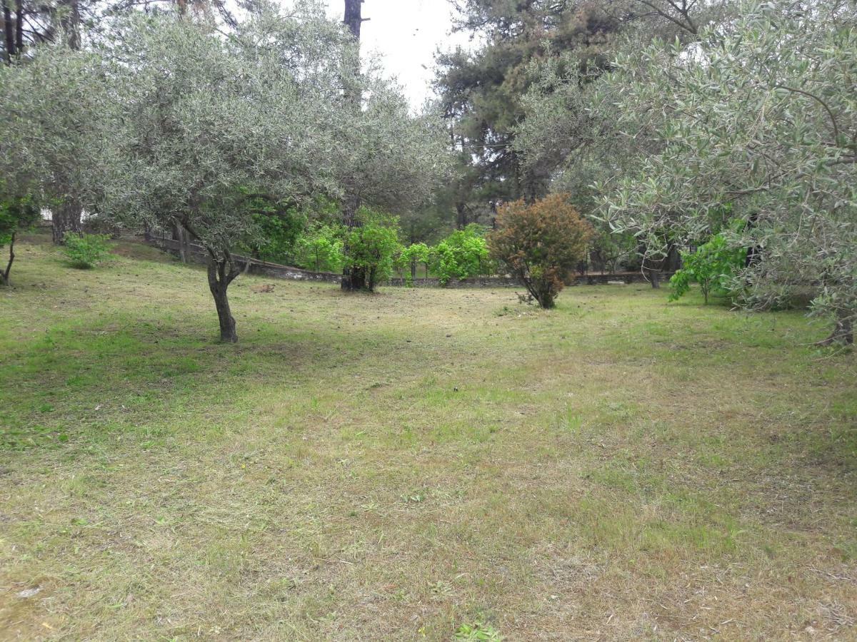 Villa Leo Glykadi Εξωτερικό φωτογραφία