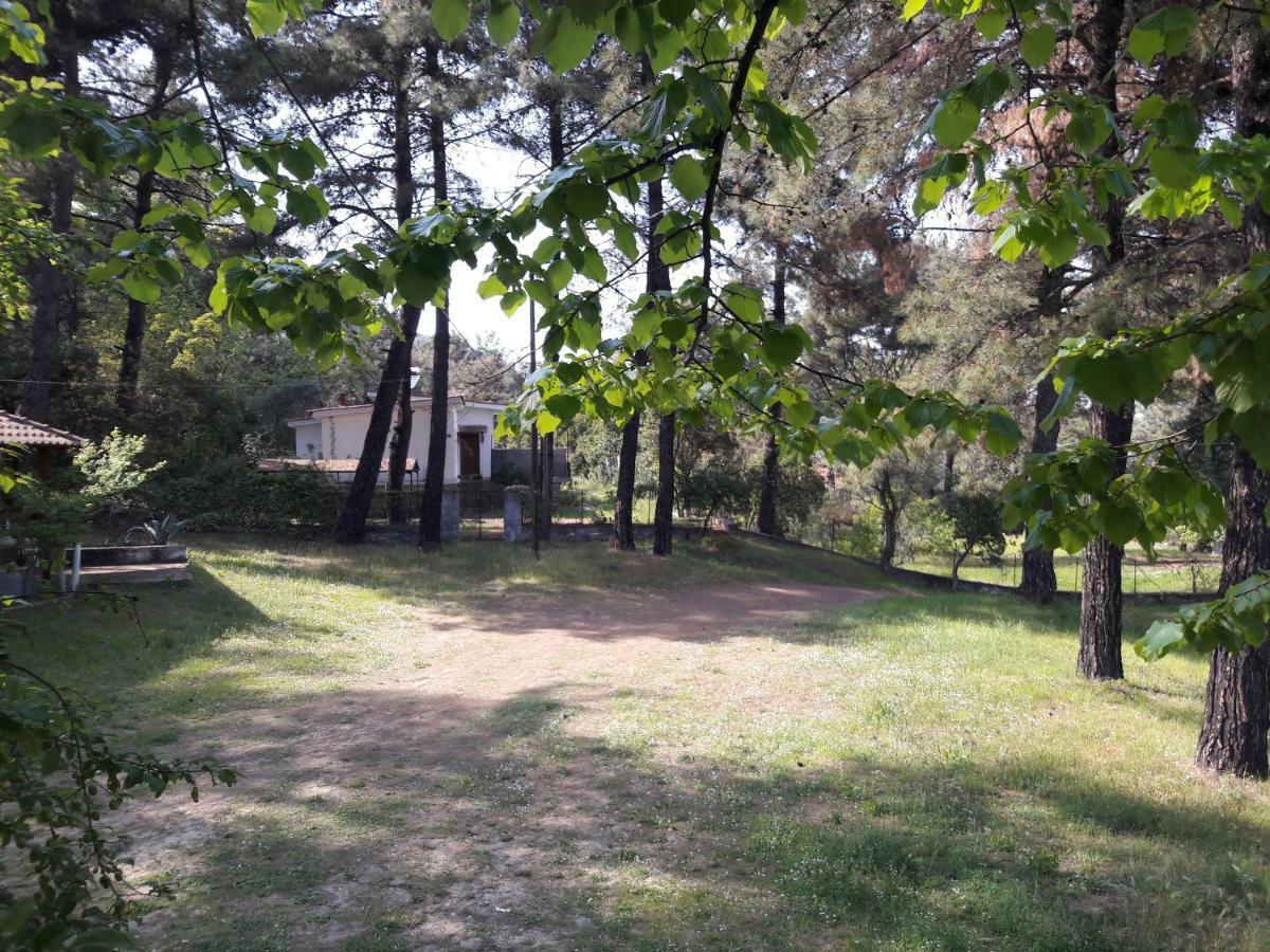 Villa Leo Glykadi Εξωτερικό φωτογραφία