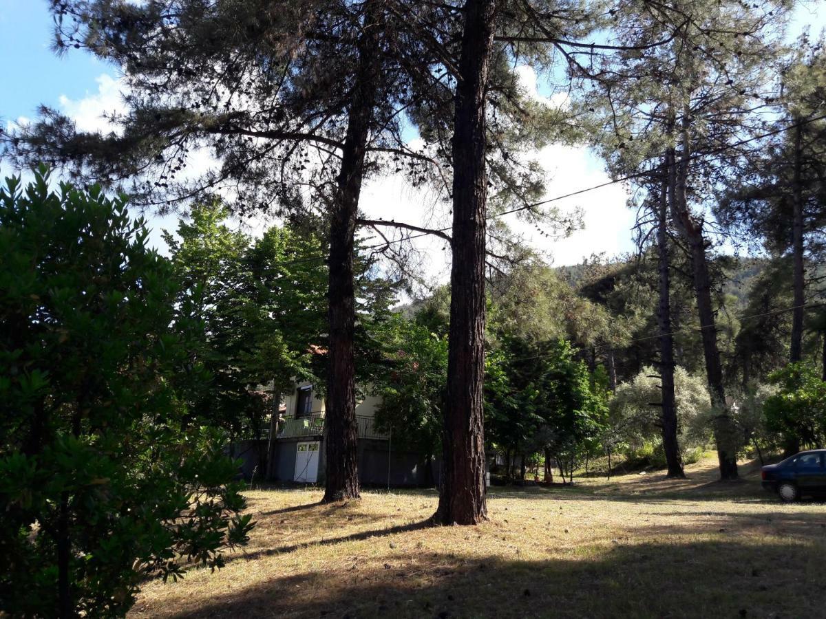 Villa Leo Glykadi Εξωτερικό φωτογραφία